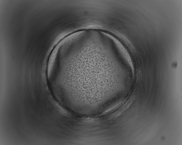 X0000102831374200809021304