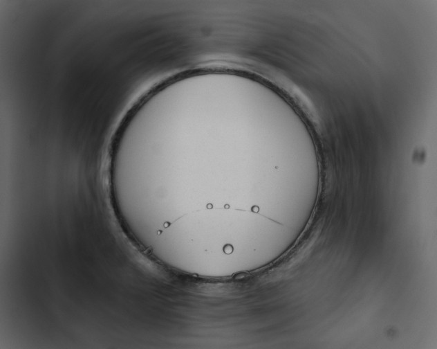 X0000102831376200809021304