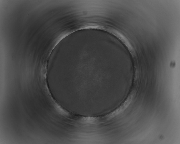 X0000102831377200809021303