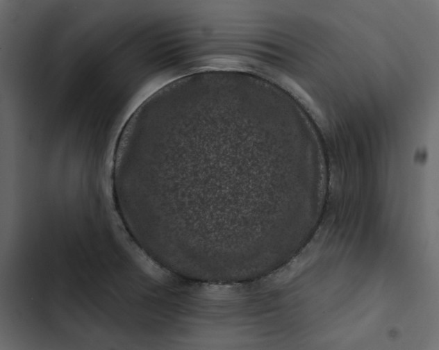 X0000102831378200809021303