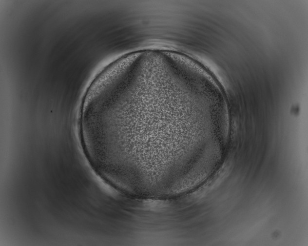 X0000102831379200809021303