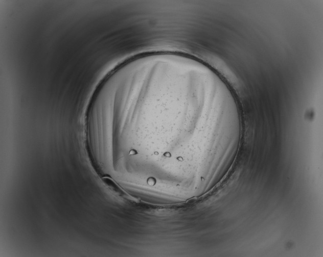 X0000102831380200809021303