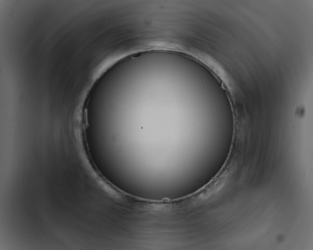 X0000102831381200809021303