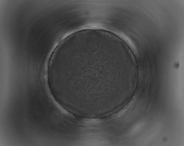 X0000102831382200809021303