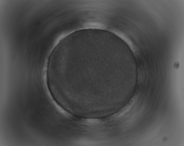 X0000102831383200809021303