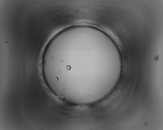 X0000102831384200809021303