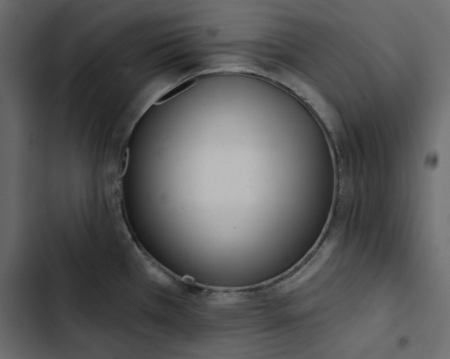 X0000102831385200809021303