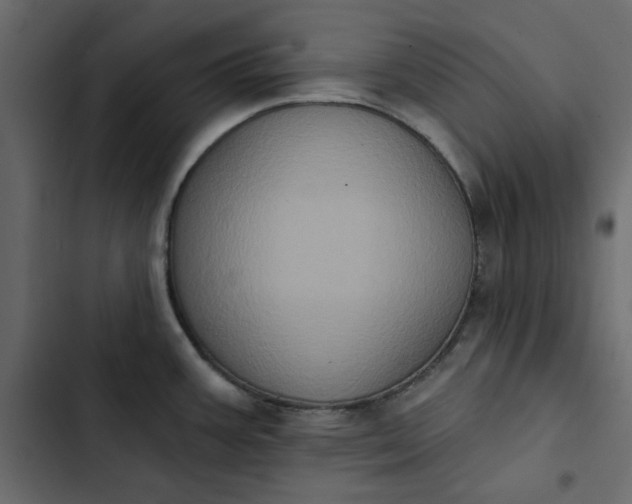 X0000102831387200809021303