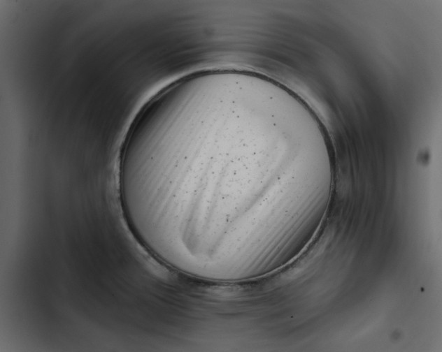 X0000102831388200809021303