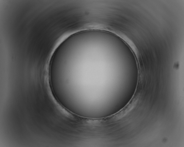 X0000102831389200809021303