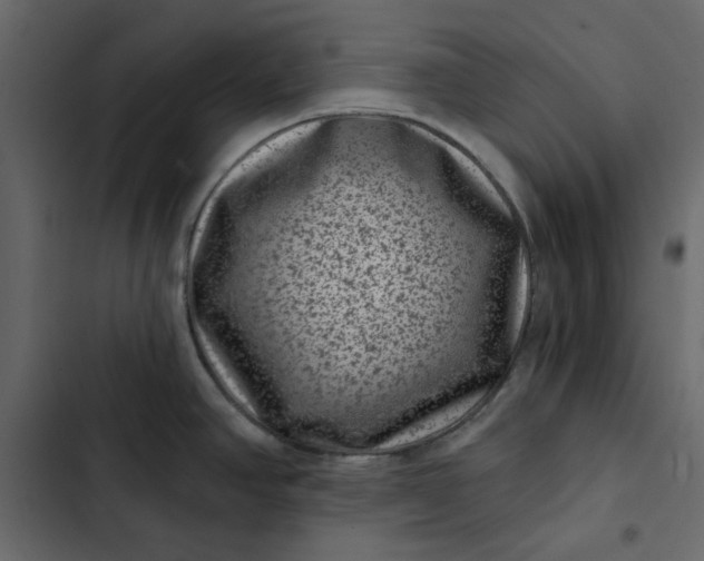 X0000102831390200809021303