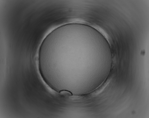 X0000102831391200809021303