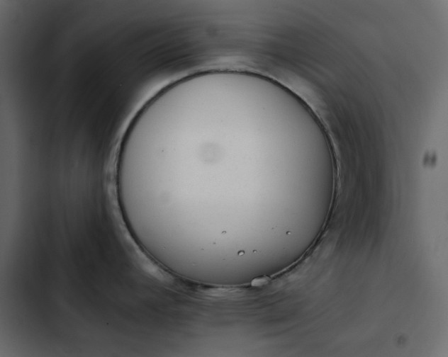 X0000102831392200809021303