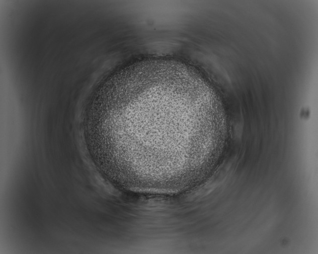 X0000102831393200809021303