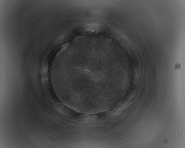 X0000102831394200809021303