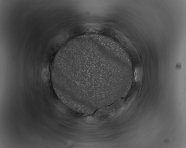 X0000102831395200809021303