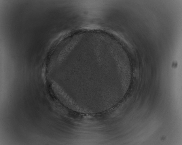 X0000102831398200809021303