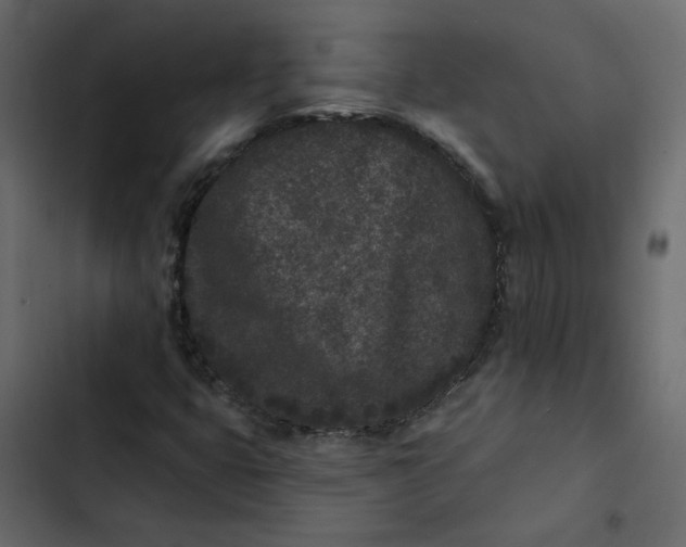 X0000102831399200809021303