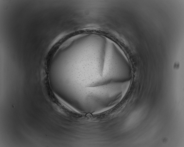 X0000102831400200809021303