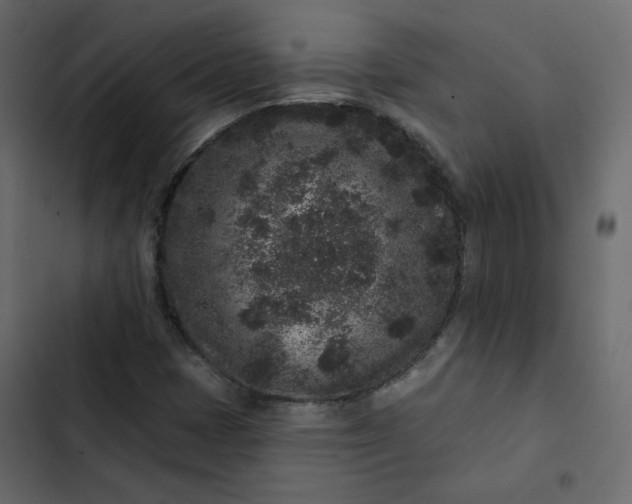 X0000102831401200809021303