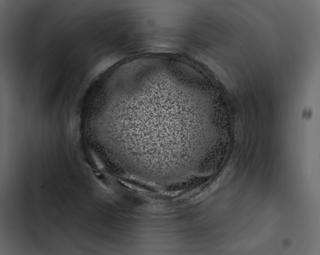 X0000102831402200809021303