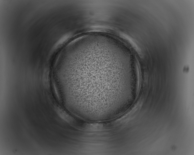 X0000102831403200809021303