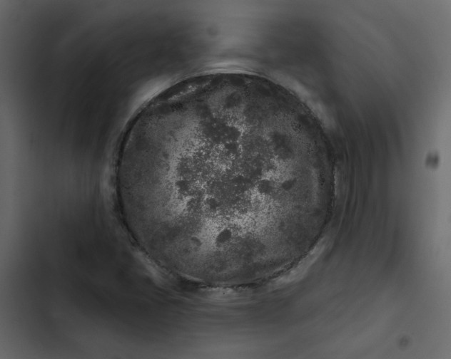 X0000102831405200809021303