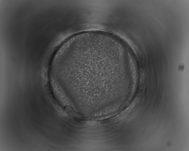 X0000102831407200809021303