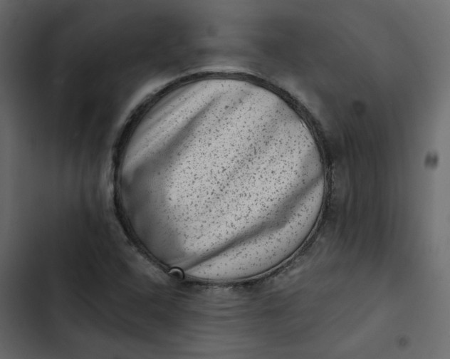 X0000102831408200809021303