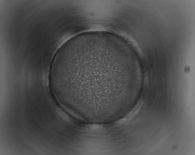 X0000102831409200809021303