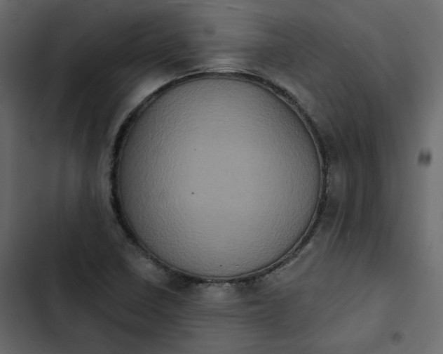 X0000102831410200809021303