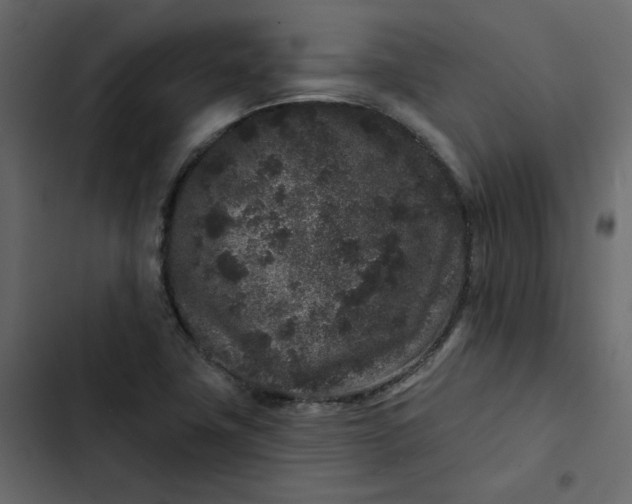 X0000102831411200809021303