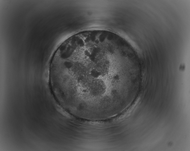 X0000102831413200809021303