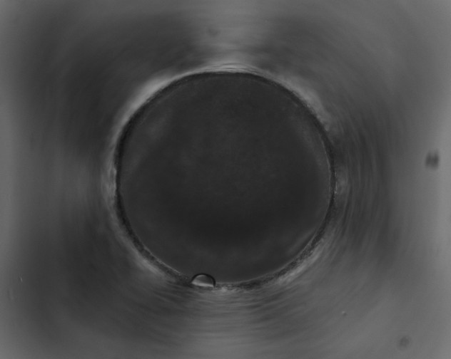 X0000102831414200809021303