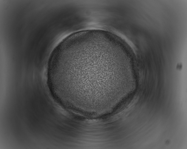 X0000102831415200809021303