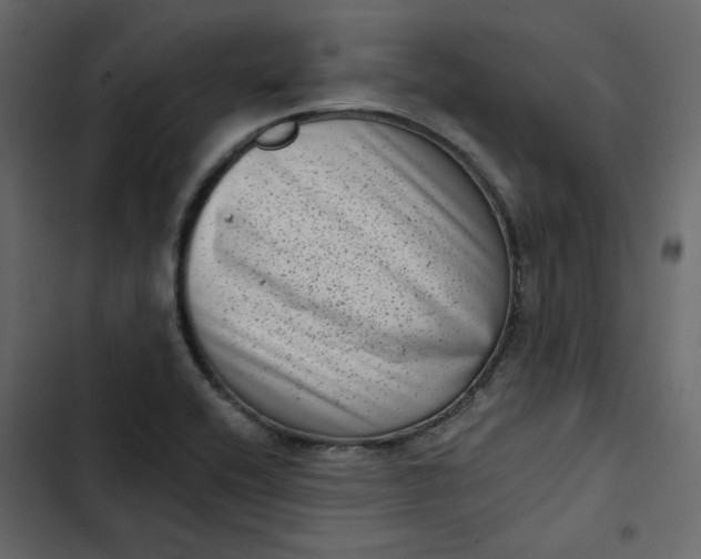 X0000102831416200809021303