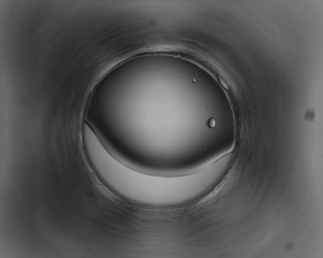 X0000102831417200809021303