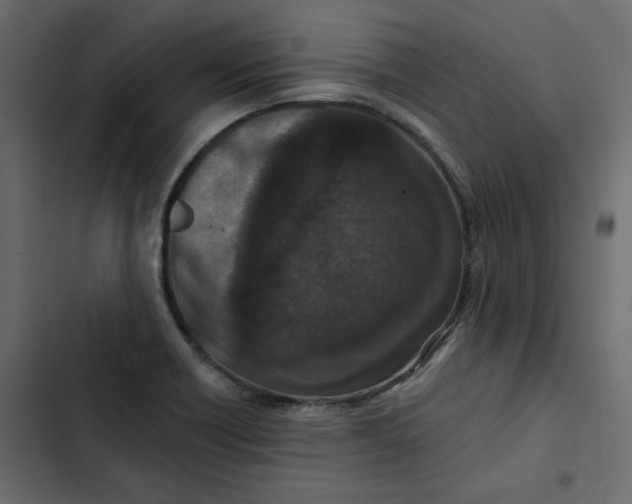 X0000102831418200809021303