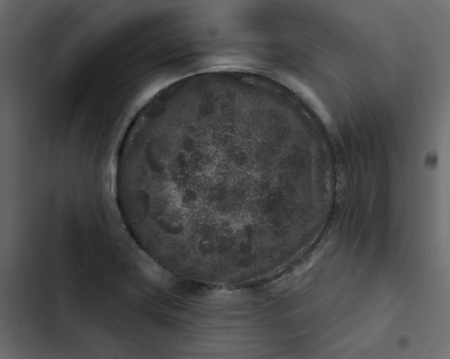 X0000102831419200809021303