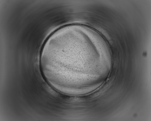 X0000102831420200809021303