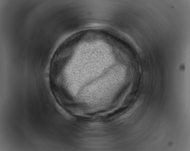 X0000102831421200809021303