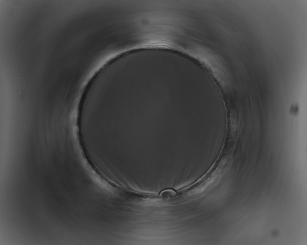 X0000102831422200809021303