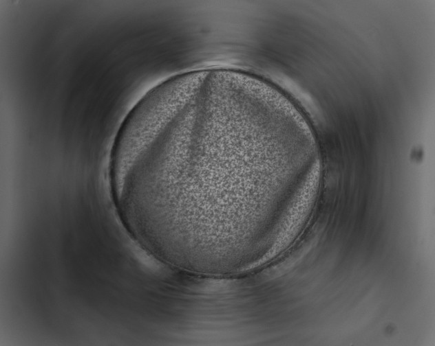 X0000102831423200809021303