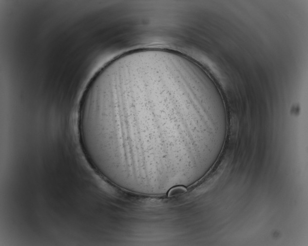 X0000102831424200809021303