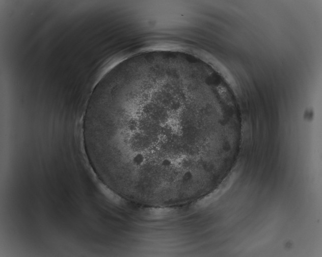 X0000102831425200809021303