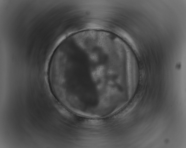 X0000102831427200809021303