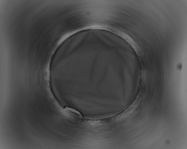 X0000102831428200809021303