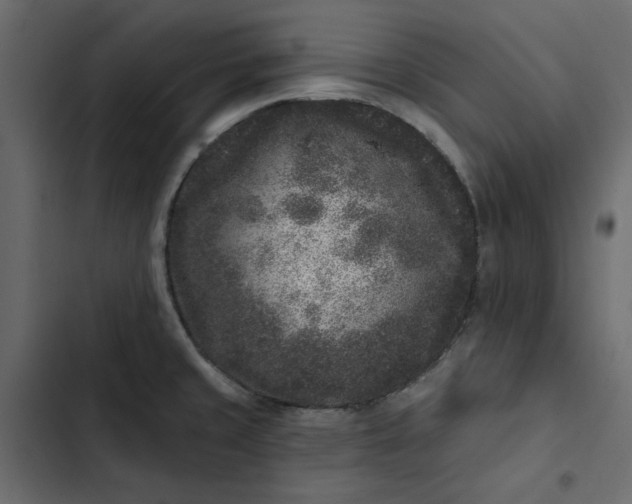 X0000102831429200809021303