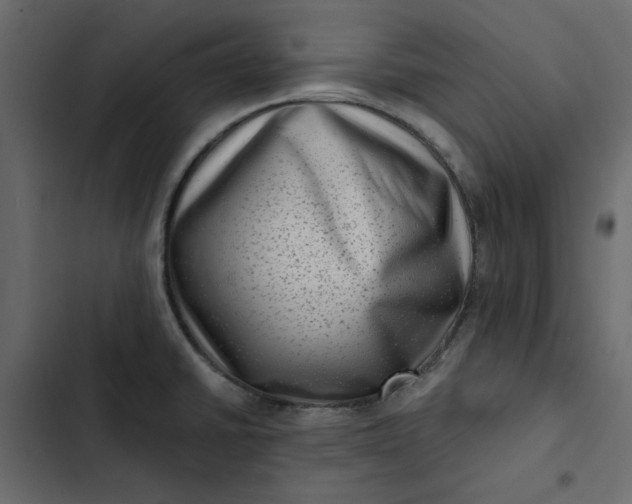 X0000102831430200809021303