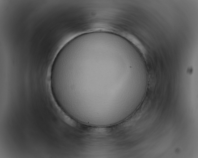 X0000102831431200809021303